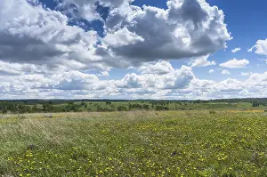 Rural Landscape Imprime: Spring meadow with clouds floating over it