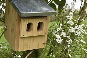 Ecofriendly Nesting Aid Imprime: Spring nesting box, Germany