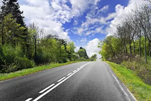 Deciduous Tree Landscape Imprime: Spring road