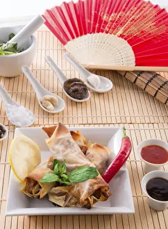 Vegetarian Spring Rolls Imprime: Spring roll