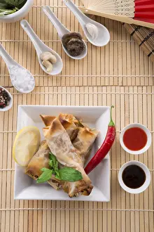Crustacean Appetizer Imprime: Spring roll