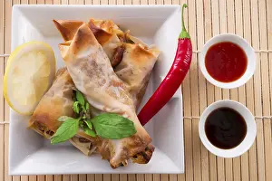 Crustacean Appetizer Imprime: Spring roll