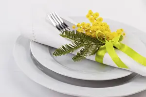 Spring Table Setting Imprime: Spring table setting with mimosa