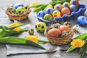 Traditional Easter Decoration Imprime: Spring time - Easter eggs and tulips on grey background