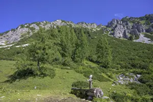 Styria Austria Imprime: Spring trough and Raidling in the background