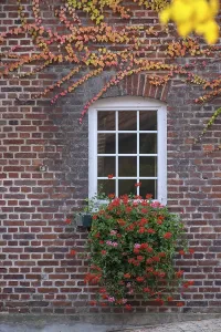 Arquitectura Rural Imprime: Ventana estable