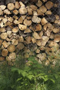 Deserted Firewood Pile Imprime: Stack of firewood as background