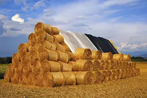 Agricultural Field Imprime: Stack of round straw bales