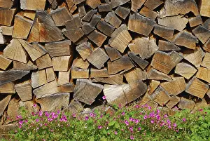 Renewable Energy Imprime: Stack of wood