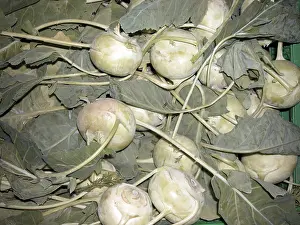 Green Vegetable Imprime: Stem cabbage