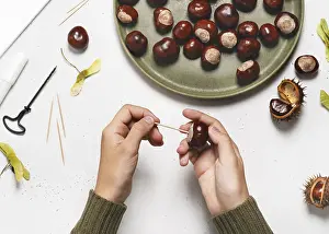 Handicrafts With Children Imprime: Step 2 Insert the toothpick into the chestnut