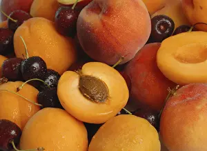 Stone Fruit Nutrition Imprime: Stone fruit