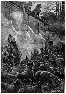 Vintage Wolf Illustration Imprime: Nothing can stop the rage of the beasts