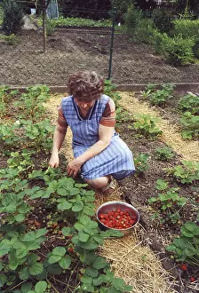 Female Farmer Imprime: Strawbery