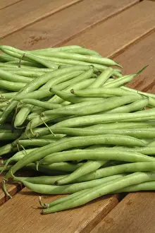 Agricultural Farming Practices Imprime: String beans from the garden