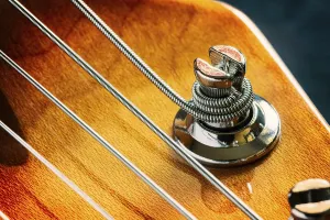 Music Instrument Details Imprime: Detail of strings and a tuning keys