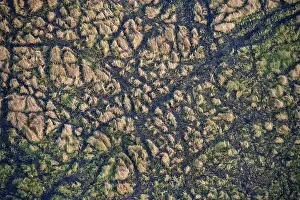 Botswana Landscape Photography Imprime: Structure and pattern, grass from above