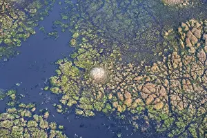 Botswana Landscape Photography Imprime: Structure and pattern, termite mounds in marshland