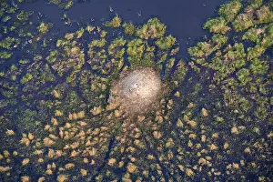 Botswana Landscape Photography Imprime: Structure and pattern, termite mounds in marshland