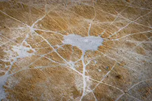 Impresiones de Estructura y patrón de senderos, senderos de animales, paisaje, vista aérea del Delta del Okavango, cerca de Maun, Delta del Okavango, Botsuana Maun Imprime: Estructura y patrón de sendas.