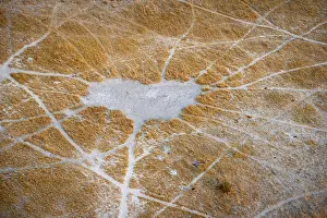 Impresiones de Estructura y patrón de senderos, senderos de animales, paisaje, vista aérea del Delta del Okavango, cerca de Maun, Delta del Okavango, Botsuana Maun Imprime: Estructura y patrón de senderos.