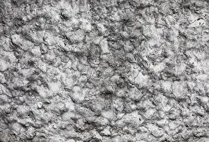 Whitewashed House Facade Imprime: Structure of a whitewashed house facade