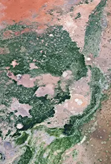 Icelandic Geothermic Energy Imprime: Detail of structures formed by algae