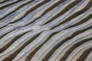 Sandy Beach Patterns Imprime: Structures, ripples in the sand