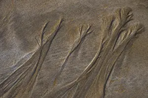 Sandy Beach Structures Imprime: Structures in sand on sandy beach