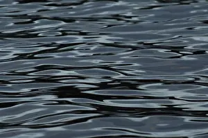Water Surface Structures Imprime: Structures on water surface