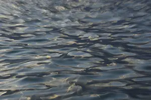 Abstract Background Images Imprime: Structures on water surface