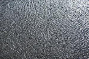 Central Europe Water Features Imprime: Structures of a water surface from the Main
