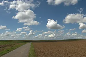 Agricultural Landscape In Germany Imprime: Summer sky with clouds above fields