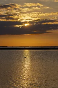 Bird Photography In Germany Imprime: Sun behind clouds, sunset, reflection