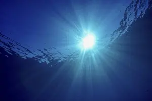 Underwater World Photography Imprime: Sun rays break through the surface of the ocean