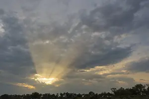 Okavango Delta Landscape Imprime: Sunbeams breaking through the clouds