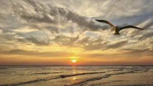 Impresión enmarcada : Sunset