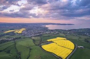 Drone Photography Devon Imprime: Sunset over Devon Fields and Farmlands from a drone