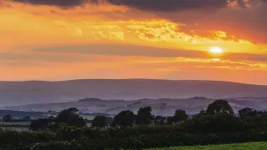 Deserted English Countryside Imprime: Sunset over Torquay Fields, Devon