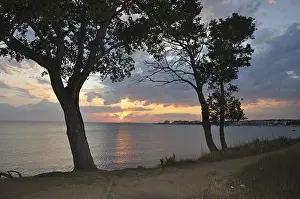Mediterranean Sunset Imprime: Sunset, tree, trees, two, evening