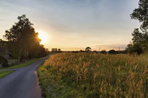German Evening Atmosphere Imprime: Sunset behind trees, sun rays, Elbe cycle path