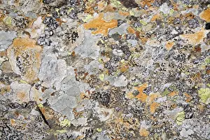 Rock Surface Texture Imprime: Surface of a stone - structure
