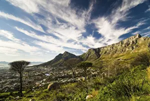 Table Mountain View Imprime: Table Mountain and Devil's Peak