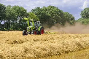 Rural Farming Imprime: Tedder (machine)