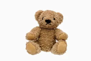 Teddy Bear Imprime: Teddy bear