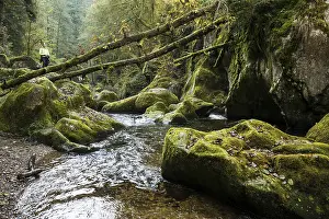 Southern Germany Nature Tourism Imprime: Teufelskuche, Devil's Kitchen