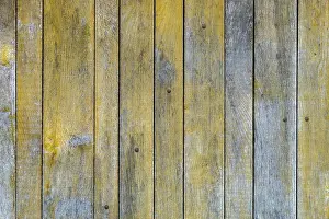 Wooden Plank Background Design Imprime: Texture, background, plank wall