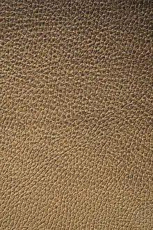 Deserted Building Surface Imprime: Texture of leather