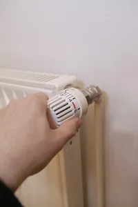 Electricity Costs Imprime: Thermostat at heating elements