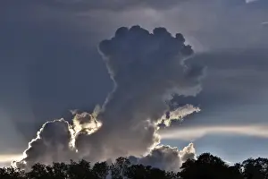 Imágenes fechadas el 24 de mayo de 2024: Nubes tormentosas amenazantes crecen en el cielo sobre un bosque.
